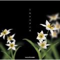 Hi-Fi CAMP歌曲:トモダチノウタ歌词