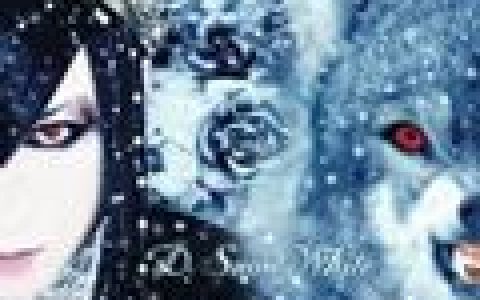 D歌曲:SIGNAL (Live Version) (Type B)歌词