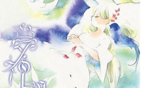 癒月歌曲:月華の誓ひ歌词