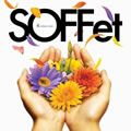 SOFFet歌曲:花歌词