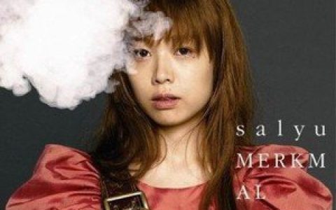 Salyu歌曲:風に乗る船歌词