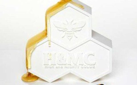 HIGH and MIGHTY COLO歌曲:ハミングバード歌词