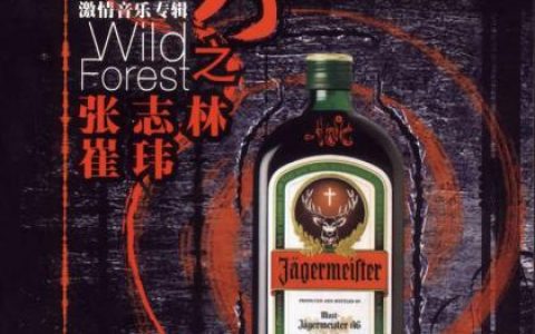 张志林&崔玮歌曲:崔玮-我多么爱你歌词
