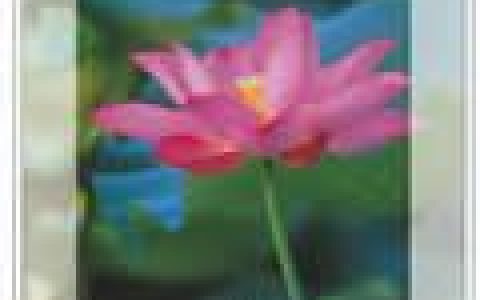 Llewellyn歌曲:Tien Ti Ren-Trinity of Luck歌词