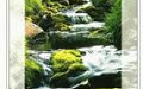 Llewellyn歌曲:Silver River歌词