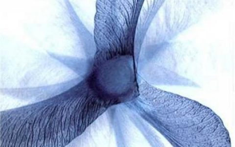 Jodi V.歌曲:California Luvin歌词