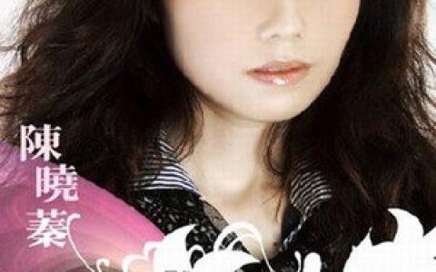 陈晓蓁歌曲:把爱装箱 (伴奏)歌词