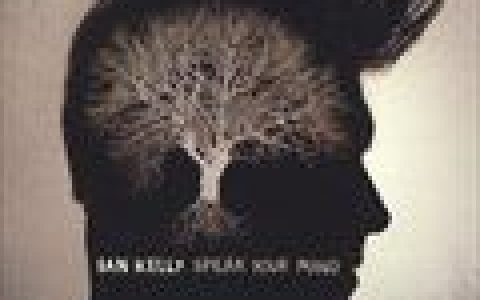 Ian Kelly歌曲:Take me home歌词
