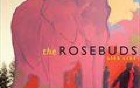 The Rosebuds歌曲:Black Hole歌词
