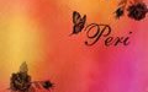 Nude Sound Unit歌曲:Peri (Revel Mix)歌词
