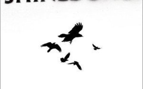 Shinedown歌曲:The Crow And The Butterfly歌词