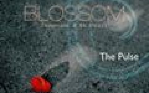 The Pulse歌曲:Cherry Blossom歌词