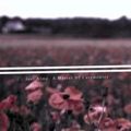 Joel Alme歌曲:In Your Arms歌词