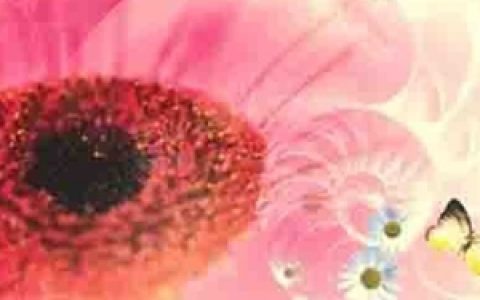 纯音乐合辑歌曲:茉莉花（萨克斯）歌词