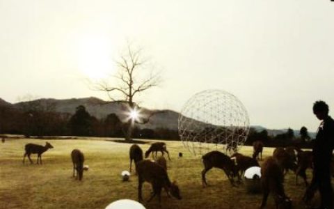 244 ENDLI-x歌曲:深红な SEPPUN歌词