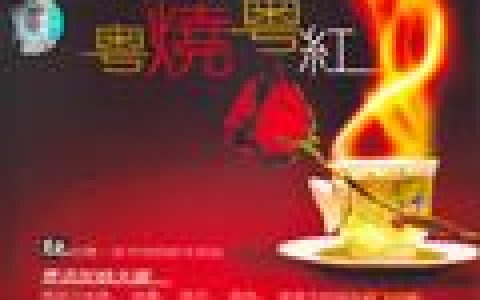 华人群星4歌曲:一生何求歌词