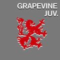 GRAPEVINE歌曲:ジュブナイル歌词