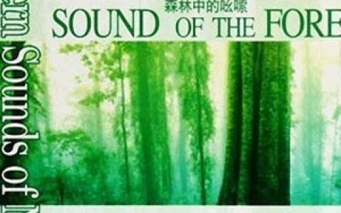 纯音乐合辑歌曲:冬雪歌词