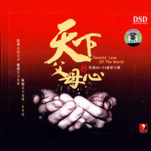 佳佳歌曲:天下父母心歌词