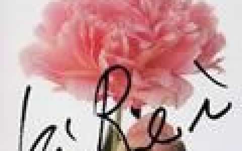 南天群星歌曲:サラ・ジェーン歌词