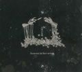 Heaven in Her Arms歌曲:明度八の偏愛歌词