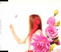 新居昭乃歌曲:鸟かごの梦 (w/o akino)歌词