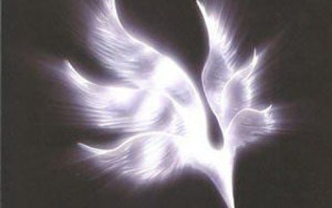 Bump Of Chicken歌曲:星の鳥歌词