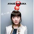 綾瀬はるか(Ayase Haruka)歌曲:小さなクジラ(Instrumental)歌词