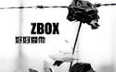 ZBOX歌曲:他会替我继续爱你 (K歌版)歌词