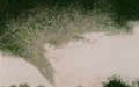 Maximilian Hecker歌曲:Ill Be A Virgin， Ill Be A Mountain歌词