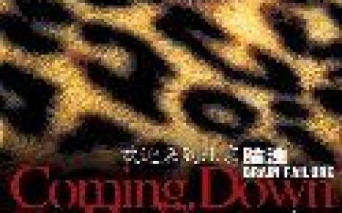 脑浊乐队歌曲:No Dirty Punx歌词