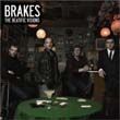 Brakes歌曲:Porcupine Or Pineapp歌词