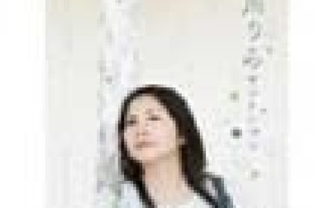 夏川りみ歌曲:赤田首里殿內歌词