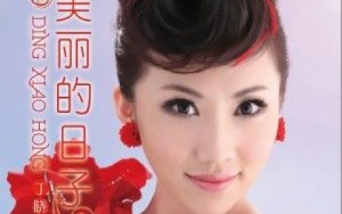 丁晓红歌曲:海南恋歌歌词