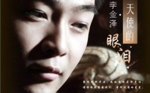 李金泽歌曲:天使的眼泪歌词