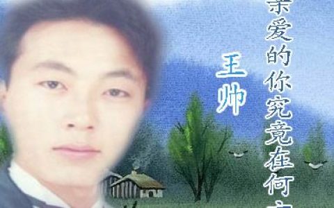 王帅歌曲:亲爱的你究竟在何方歌词
