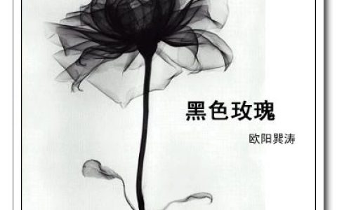 欧阳巽涛歌曲:如果声音不记得歌词