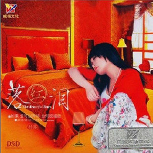 孙露歌曲:拂袖歌词