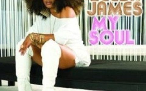 Leela James歌曲:Mr. Incredible Ms. Unforgetable (Feat. Raheem DeVa歌词