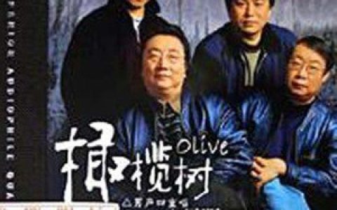 八只眼歌曲:踏着夕阳归去歌词