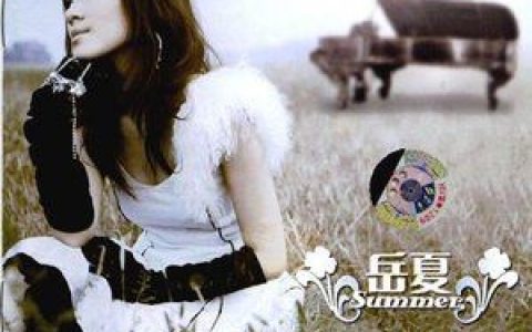 岳夏歌曲:喜欢有你歌词