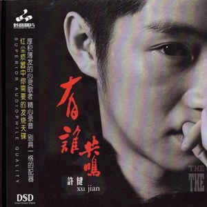 许健歌曲:你到底爱谁歌词