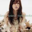 山本朝海 Asami Yamamoto歌曲:Kutsuhimo (Instrumen歌词