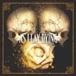 As I Lay Dying歌曲:Blood Turned To Tear歌词