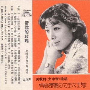 关牧村歌曲:一支难忘的歌歌词