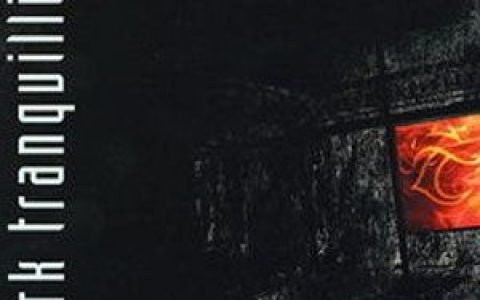 Dark Tranquillity歌曲:Final resistance歌词