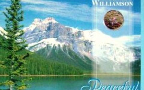 Ana Williamson & Nor歌曲:Island of Dreams歌词