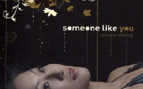 黄翠珊歌曲:When You Say Nothing At All歌词