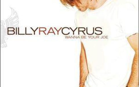Billy Ray Cyrus歌曲:Stand (featuring Mil歌词