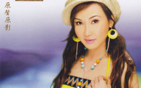 吴泓君歌曲:浪子的心情+爱拼才会赢歌词